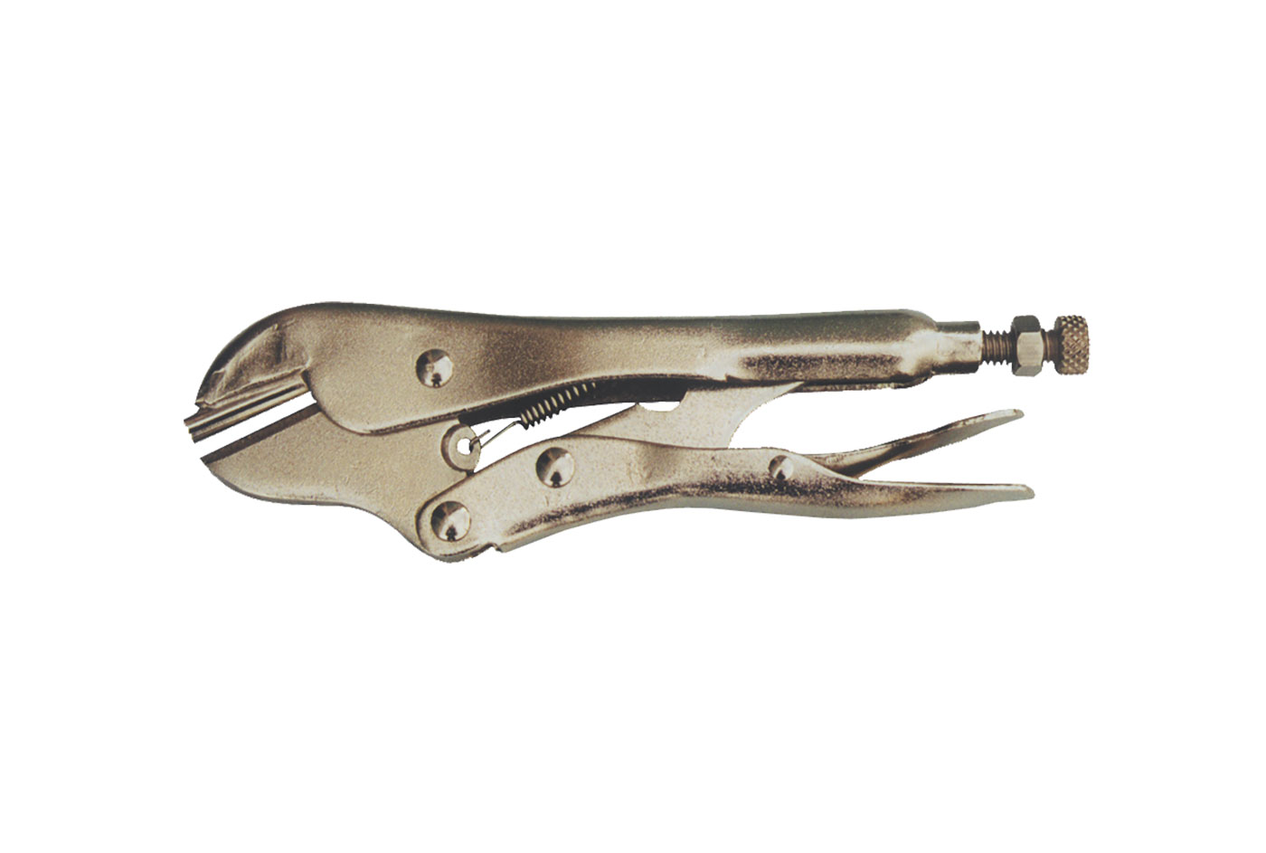 Immagine IMG_11132056.jpg