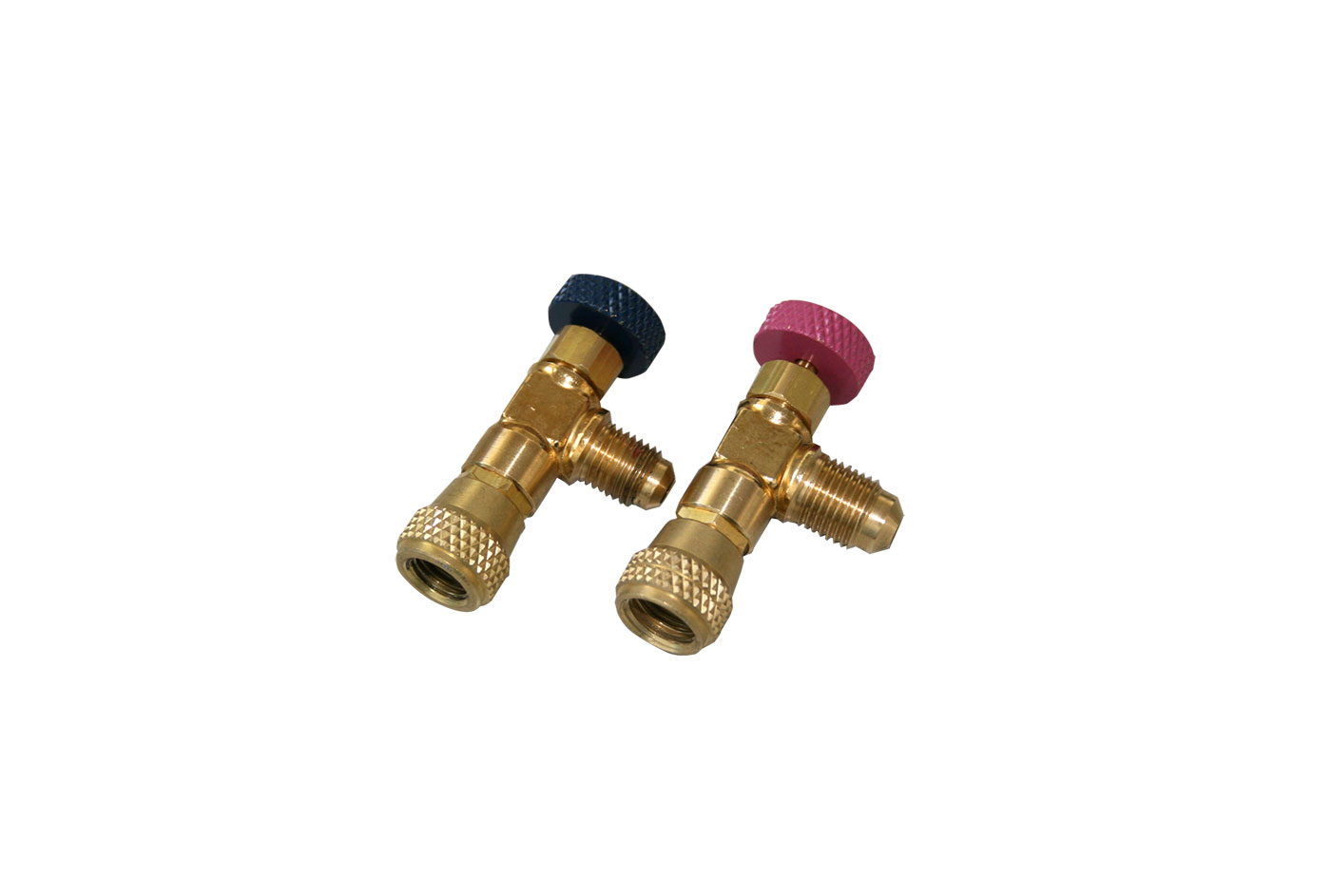 Immagine IMG_11133026.jpg