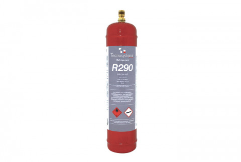  Flasche R 290 1 l (370 g)