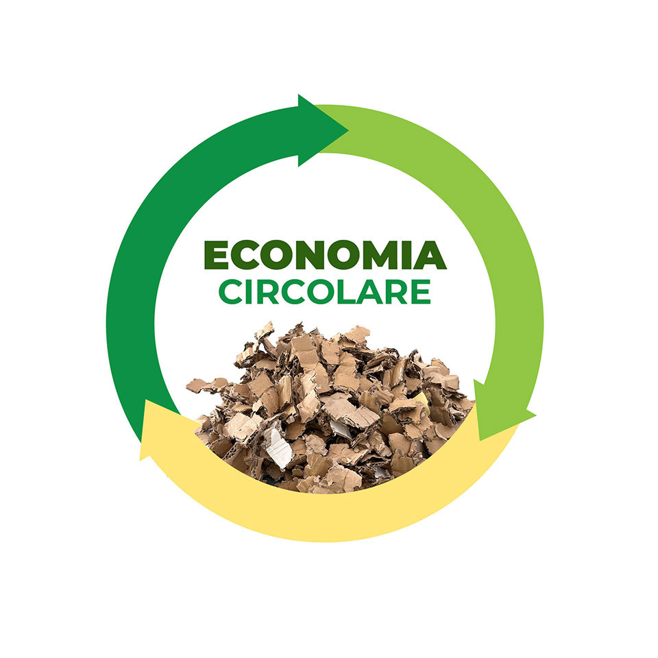 economia-circolare.jpg